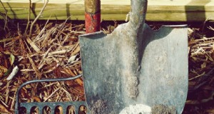 Grundlegende Gartengeräte für Anfänger:Ein umfassender Leitfaden 