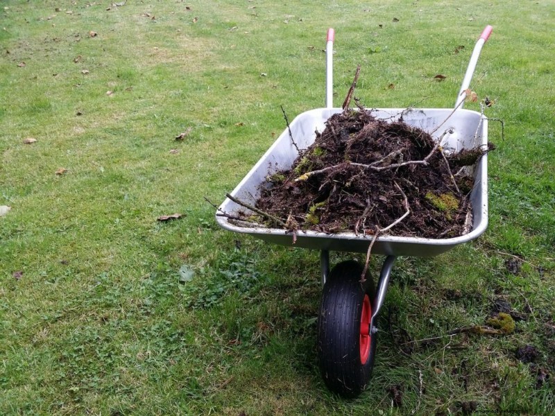 Strumenti di giardinaggio essenziali per principianti:una guida completa 
