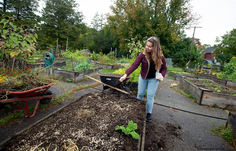 Costruisci un letto da giardino rialzato:4 semplici passaggi per un giardinaggio di successo 