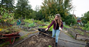 Bauen Sie ein Hochbeet:4 einfache Schritte für eine erfolgreiche Gartenarbeit 