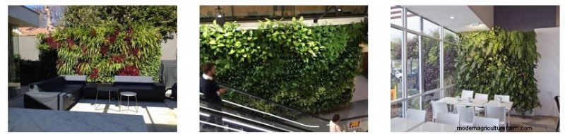 Gro-Wall® Slim Pro:垂直庭園向けの高度な灌漑 |アトランティス株式会社 