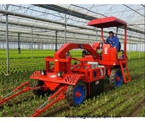 Ferrari Growtech Remoweed:列および植物間の除草用自動除草機 