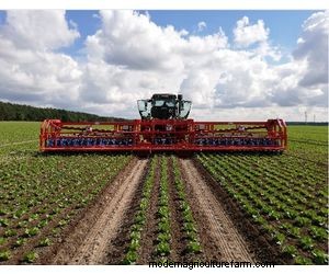 Ferrari Growtech Remoweed:列および植物間の除草用自動除草機 