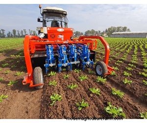 Ferrari Growtech Remoweed:列および植物間の除草用自動除草機 