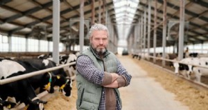 Geschäftsplan für Milchbetriebe:Ein umfassender Leitfaden zum Erfolg 