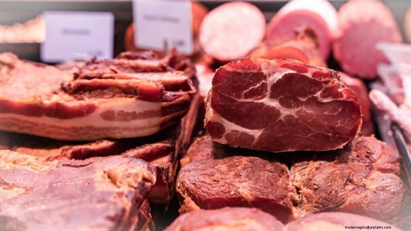 Crianza de ovejas en Medio Oriente:una guía de rentabilidad para los mercados de carne de cordero 