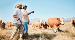 Rentabilidad de la ganadería:ingresos, gastos y tendencias del mercado 