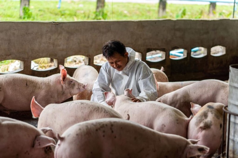 Beginnersgids voor het mesten van varkens:het maximaliseren van de winstgevendheid 