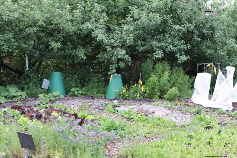Het kiezen van de juiste maat voor uw moestuin:een uitgebreide gids 