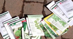 Gids voor het kweken van prei:planten, verzorgen en oogsten voor heerlijke resultaten 