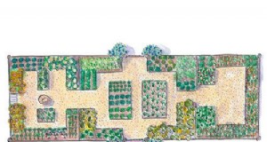Productieve moestuinplannen:ontwerpen voor elke ruimte 