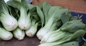 Bringen Sie Ihren Garten in Schwung:4 unverzichtbare asiatische Gemüsesorten für den Anbau 