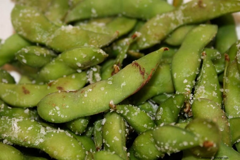 Potenzia il tuo giardino:4 verdure asiatiche essenziali da coltivare 