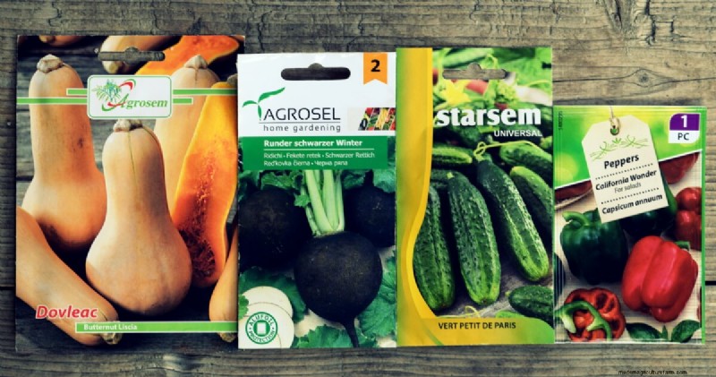 Guida al risparmio dei semi:come scegliere, raccogliere e conservare i semi del giardino 