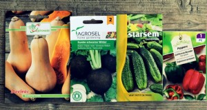 Leitfaden zum Saatgutsparen:So wählen, sammeln und lagern Sie Gartensamen 