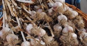 Panduan Penyimpanan Bawang Putih:Metode Terbaik untuk Kesegaran &Pengawetan 