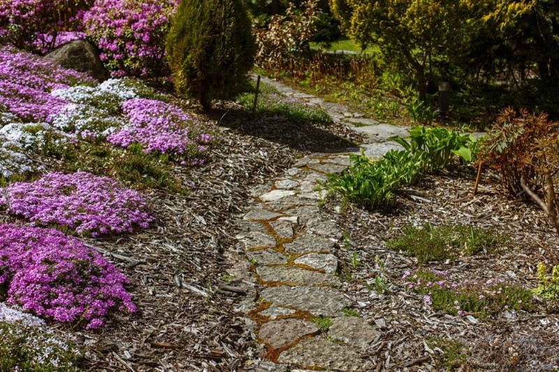 Le migliori coperture fiorite per l abbellimento:15 scelte migliori 