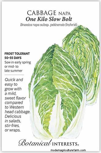 家庭で育てるのに最適な葉物野菜:包括的なガイド 