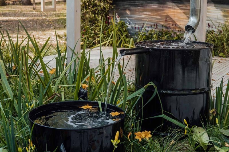 Bouw een zelfvoorzienende toekomst:uw gids voor een overlevingstuin 