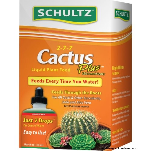 Coltiva il cactus del castello delle fate:guida alla cura, alla semina e alla coltivazione 