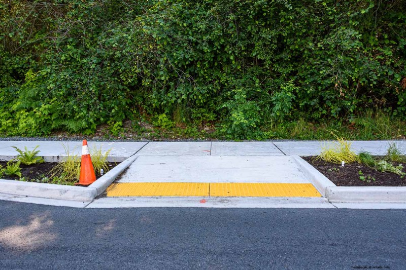 Beste zouttolerante groenblijvende struiken voor trottoirstroken 