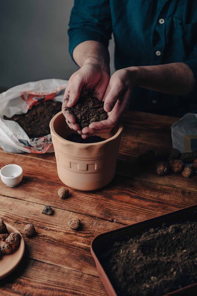 De juiste potgrond en containers kiezen voor gezonde kamerplanten 