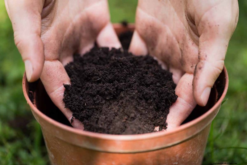 De juiste potgrond en containers kiezen voor gezonde kamerplanten 