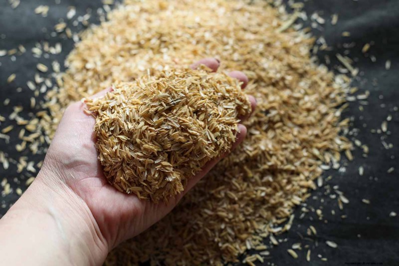 De juiste potgrond en containers kiezen voor gezonde kamerplanten 
