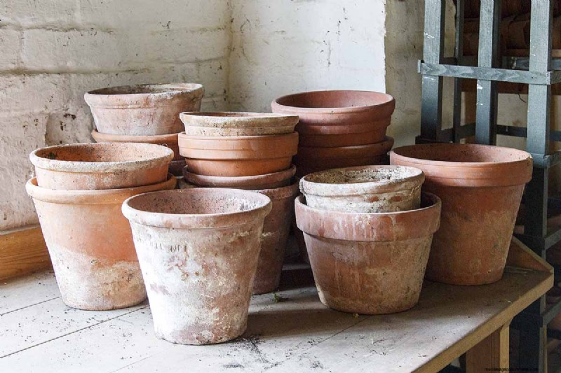 De juiste potgrond en containers kiezen voor gezonde kamerplanten 