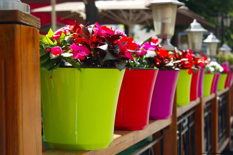 De juiste potgrond en containers kiezen voor gezonde kamerplanten 