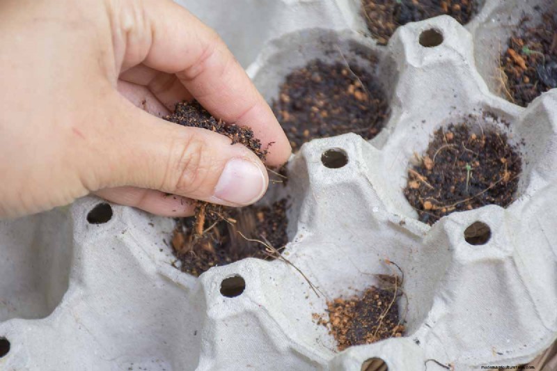 Beginnen met binnenzaad:een gids voor jaarlijkse bloemen, kruiden en groenten 