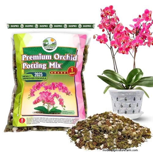 Untaian Nikel (Dischidia):Panduan Perawatan &Pertumbuhan 