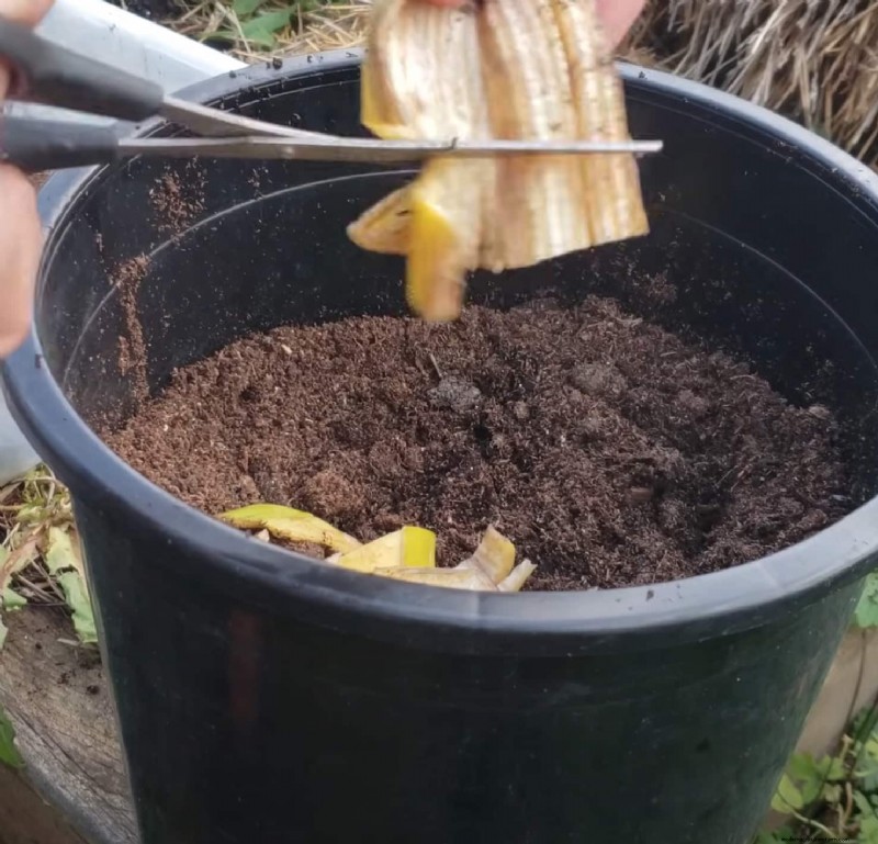 17 professionelle Gartentipps für eine reiche Ernte 