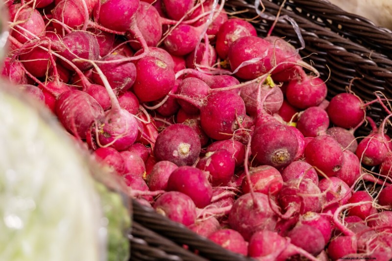 Vermijd veelvoorkomende fouten bij het planten in de lente:een tuinmangids 