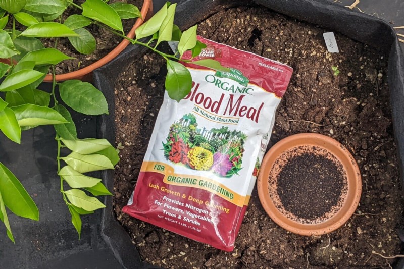Boost de tomatengroei:essentiële wijzigingen voor het planten 