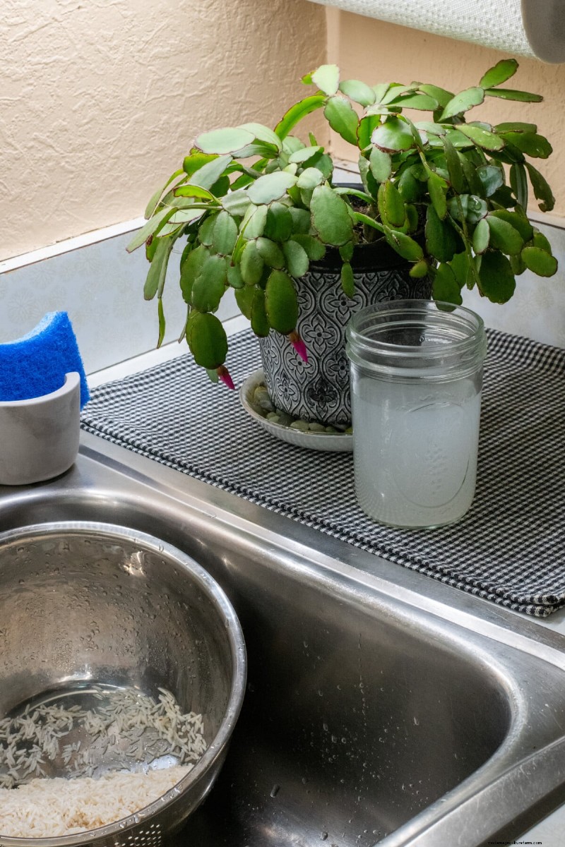 Reiswasser für Pflanzen:Vorteile, Vorteile und Verwendung 