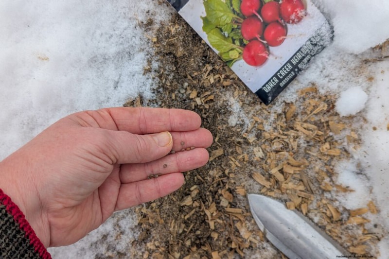 Direct zaaien:27 zaden om te planten vóór de laatste nachtvorst 