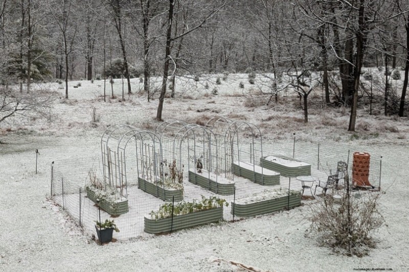 Direct zaaien:27 zaden om te planten vóór de laatste nachtvorst 