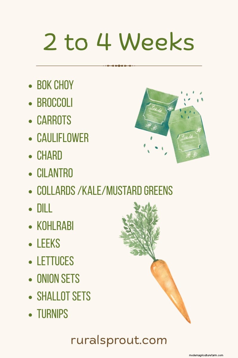 Direct zaaien:27 zaden om te planten vóór de laatste nachtvorst 