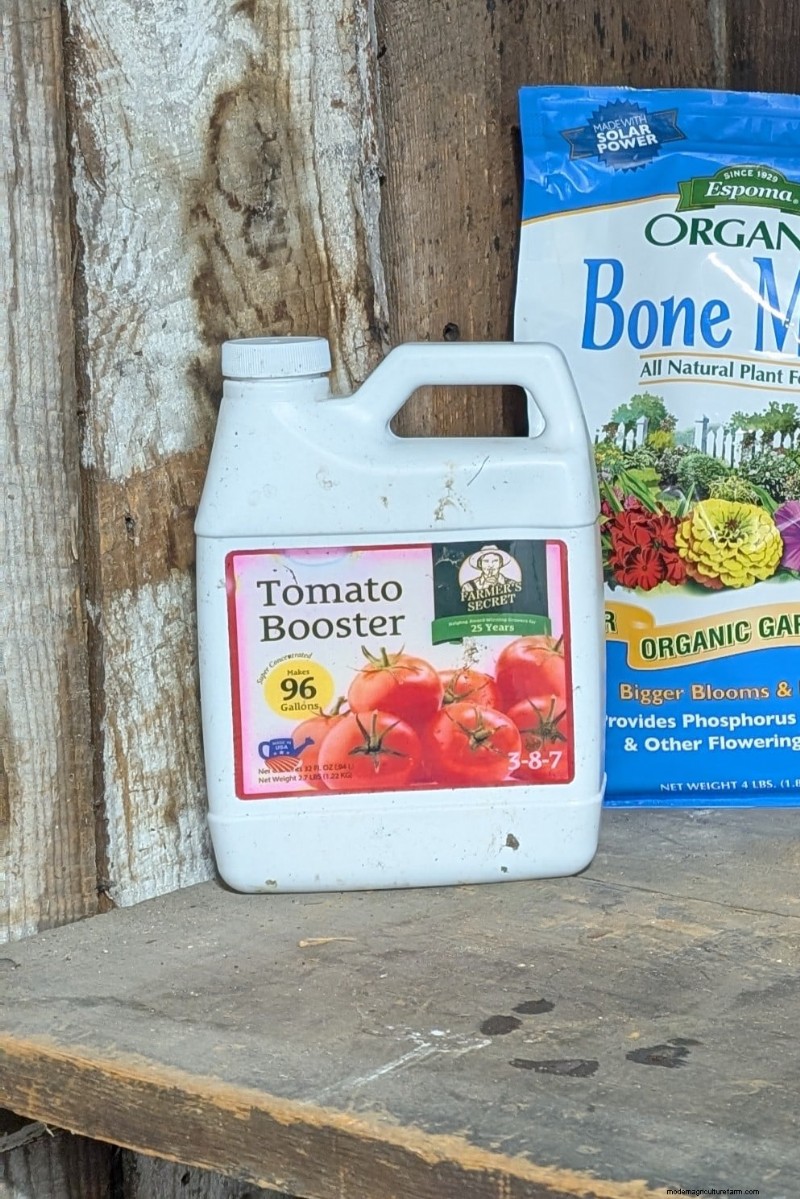 Bessere Tomaten anbauen:7 wesentliche Werkzeuge und Techniken 