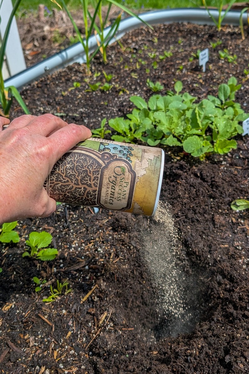 Bessere Tomaten anbauen:7 wesentliche Werkzeuge und Techniken 