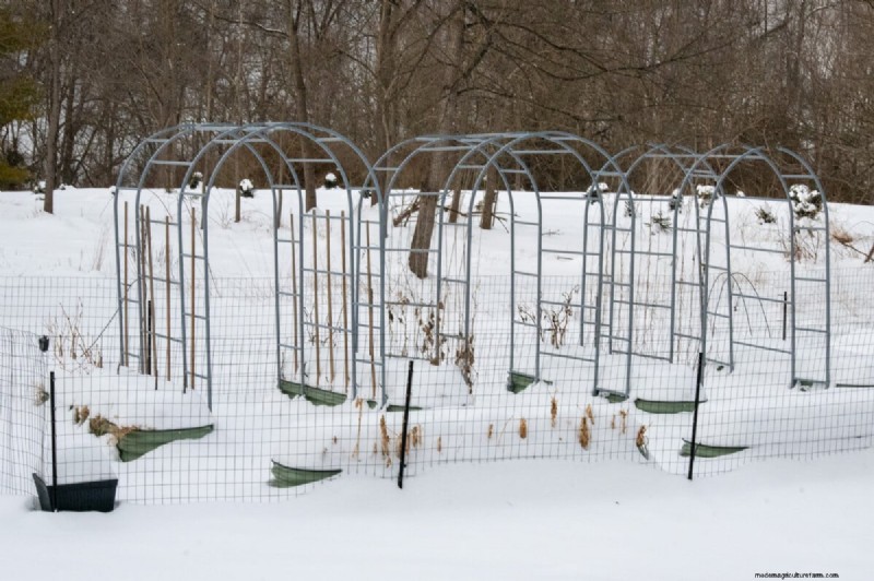Febrero Jardinería en camas elevadas:3 tareas esenciales para una temporada abundante 