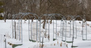 Tuinieren met verhoogd bed in februari:3 essentiële taken voor een rijk seizoen 