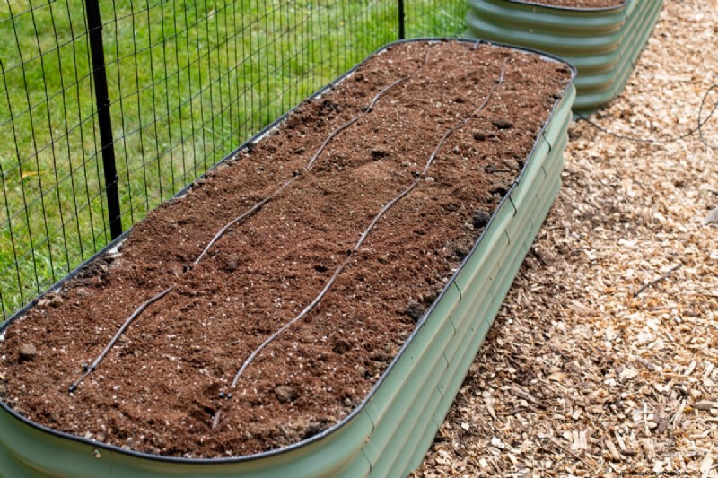 Febrero Jardinería en camas elevadas:3 tareas esenciales para una temporada abundante 