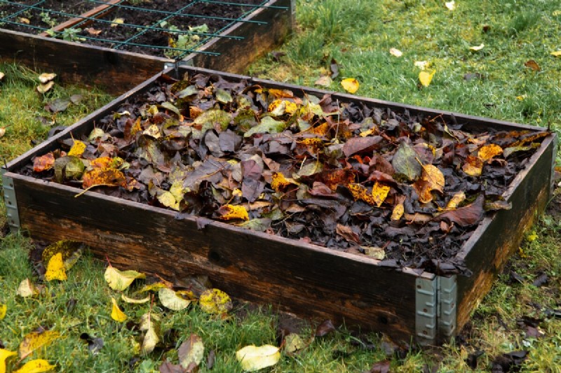 Febrero Jardinería en camas elevadas:3 tareas esenciales para una temporada abundante 