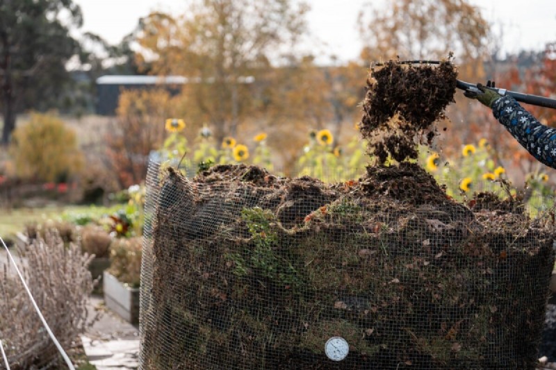 Febrero Jardinería en camas elevadas:3 tareas esenciales para una temporada abundante 