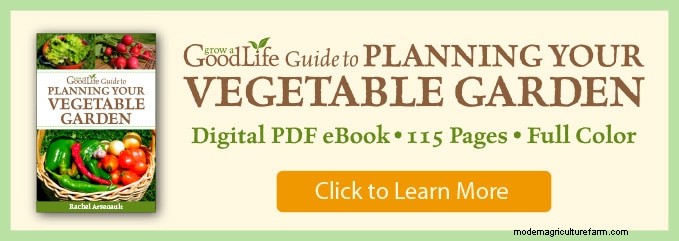 Mantillo de agujas de pino:beneficios, usos y aplicaciones en su jardín 