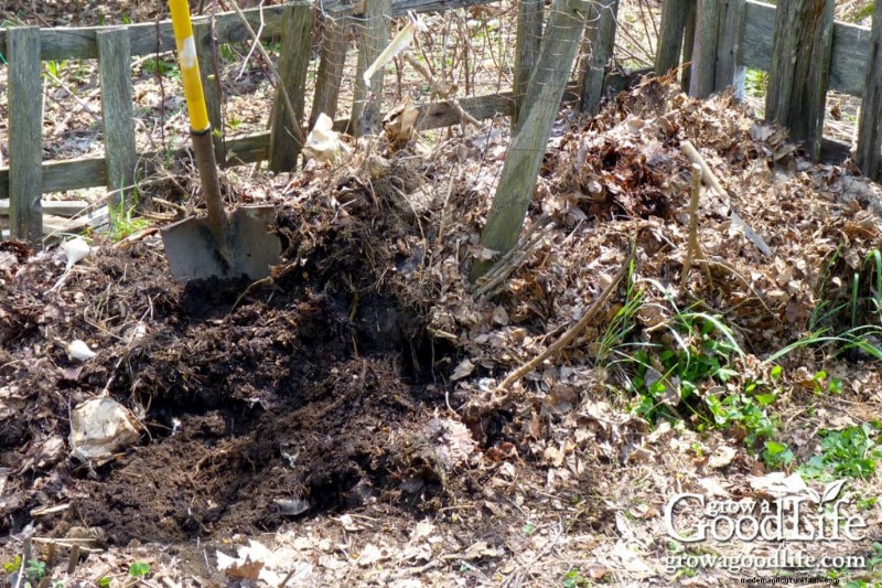 Gids voor bladschimmel:Verbeter de gezondheid van bodem en tuin - stap voor stap 
