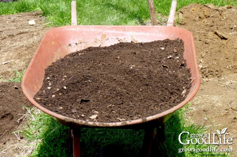 Gids voor bladschimmel:Verbeter de gezondheid van bodem en tuin - stap voor stap 