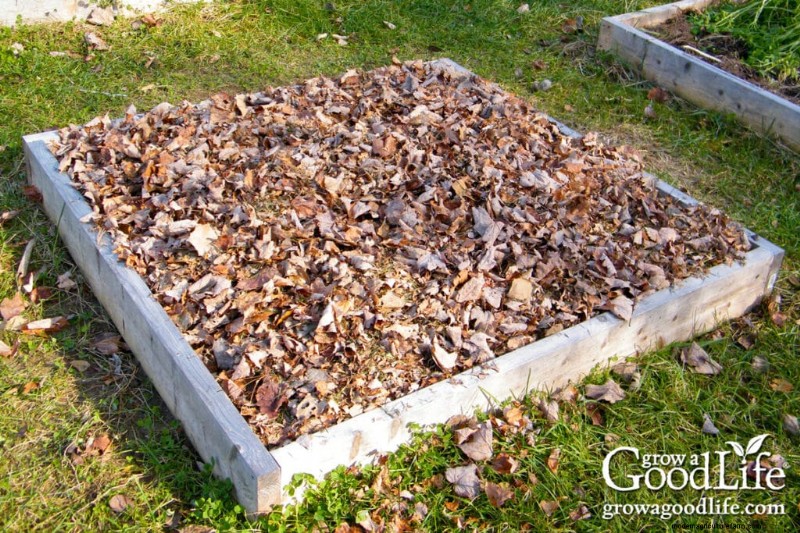 Laubmulch:Eine umfassende Anleitung zur Verwendung von zerkleinerten Blättern in Ihrem Garten 